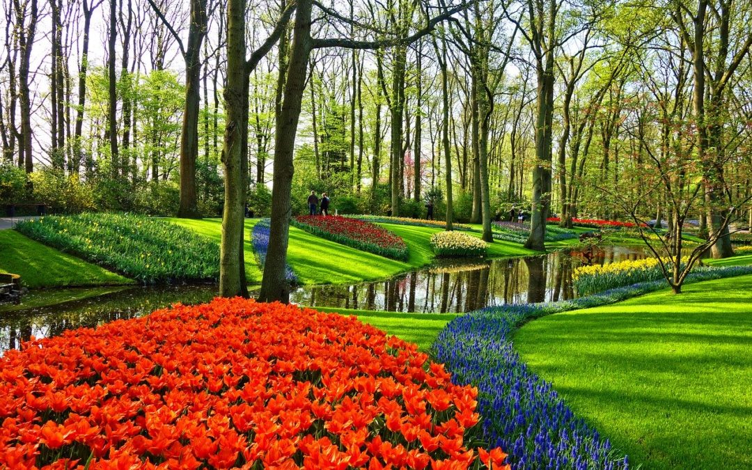 Keukenhof