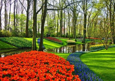 Keukenhof